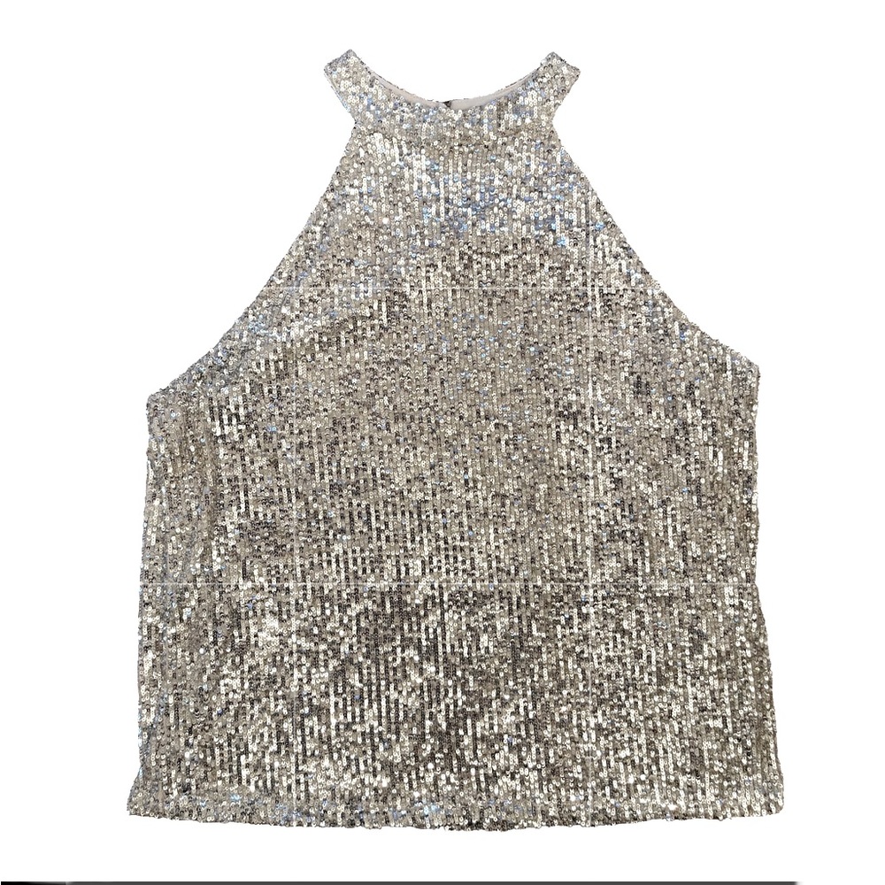 NWOT | Cable & Gauge | Silver Sequin Halter Neck Lined Top